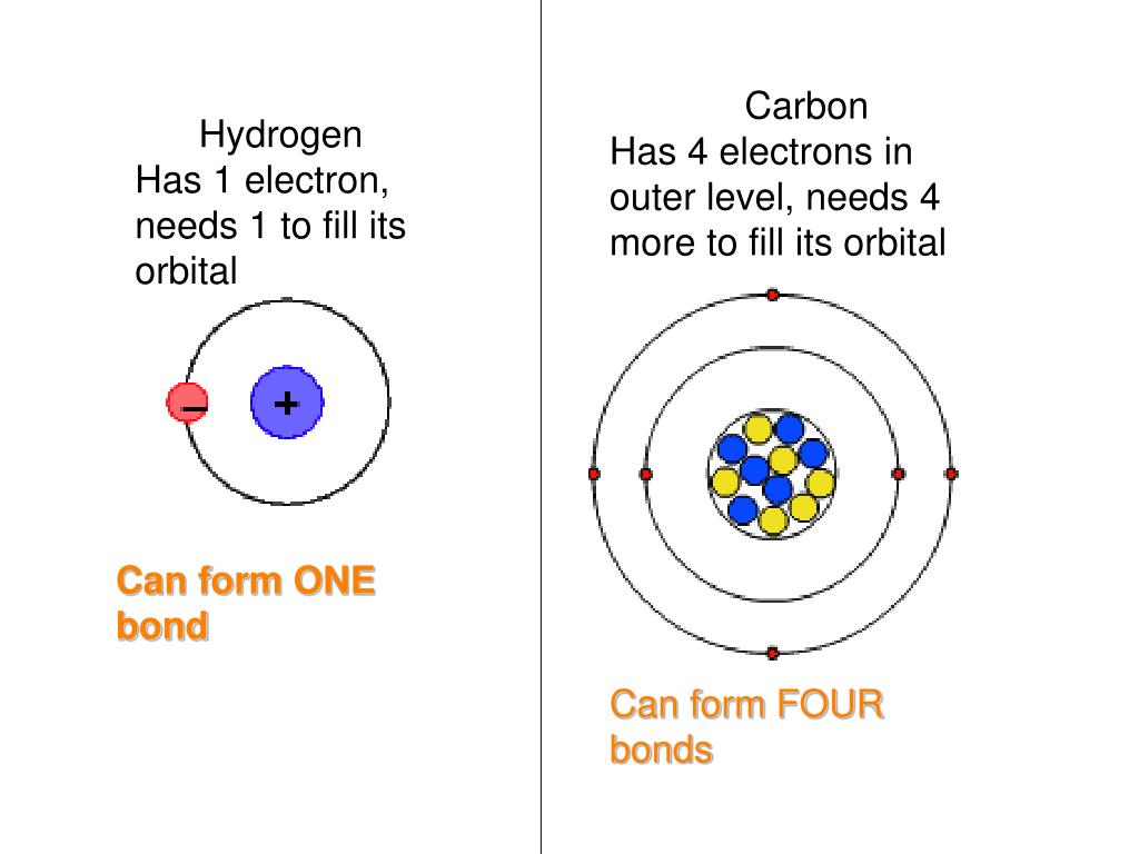 PPT Why Study Chemistry in Biology? PowerPoint