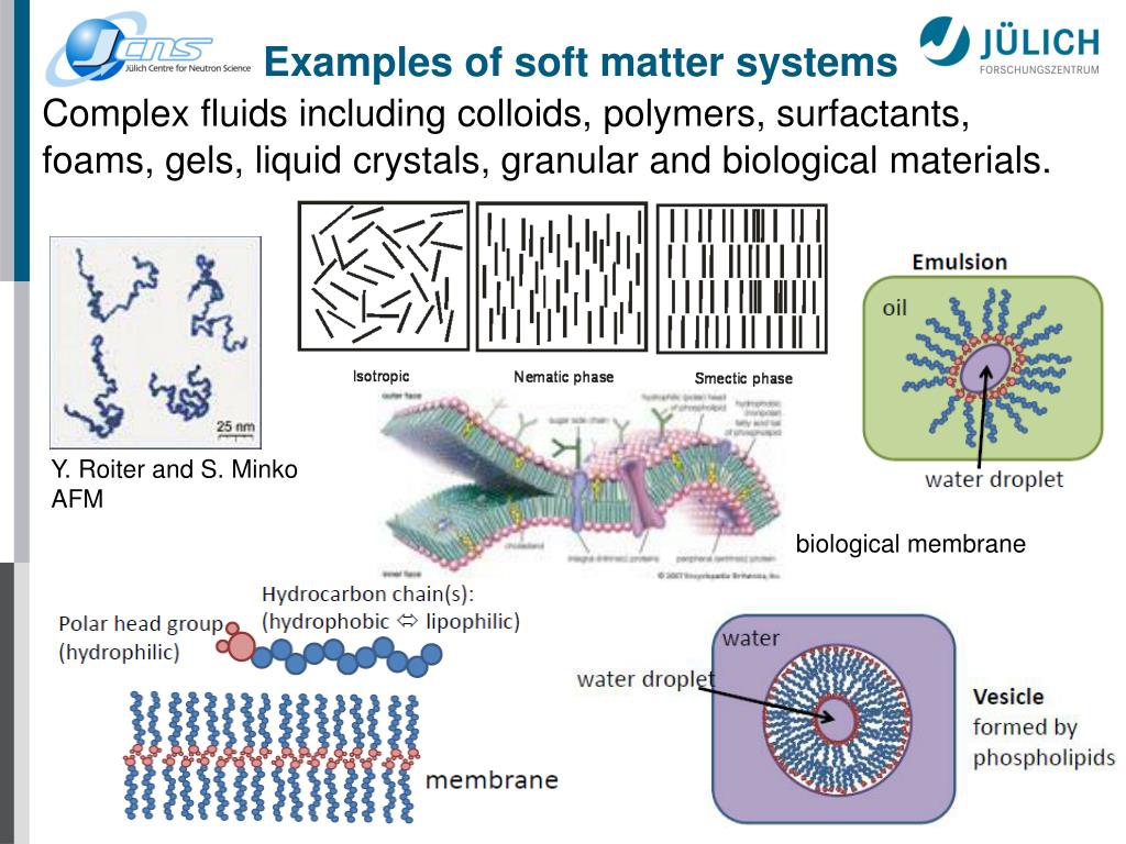 Download Neutron and Soft Matter PPT PowerPoint presentations for free