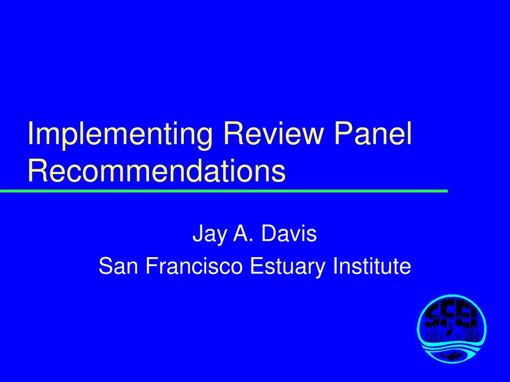 PPT Implementing Review Panel PowerPoint Presentation