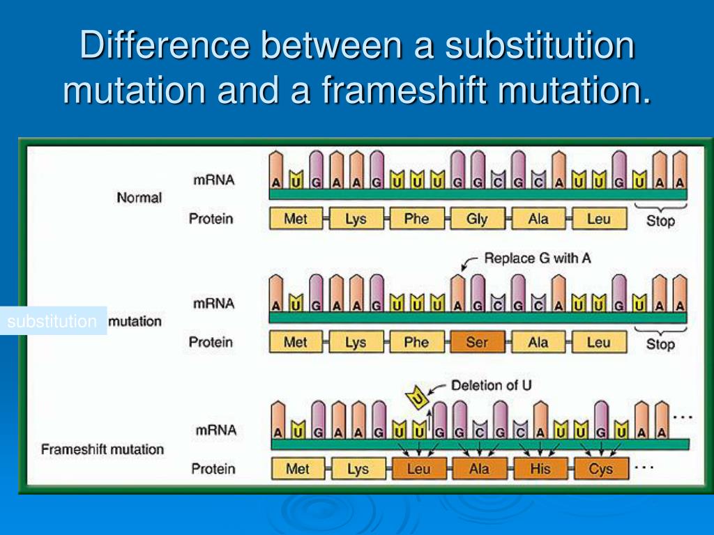 PPT To demonstrate understanding, after this lesson, you should be