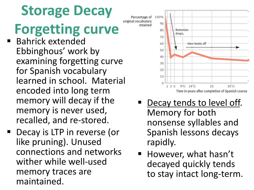PPT Aim What are the parts of memory? PowerPoint Presentation, free