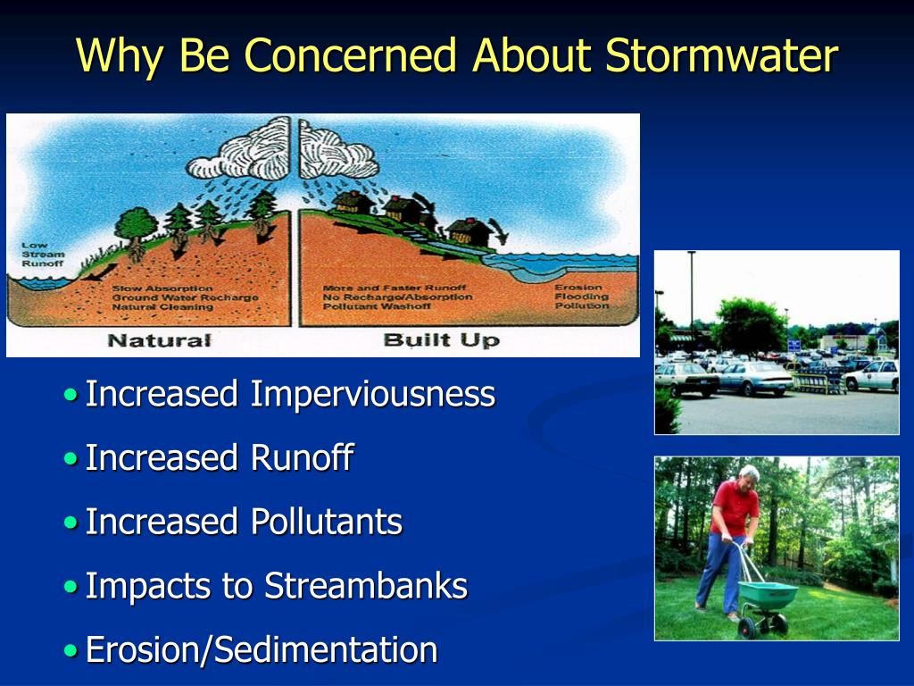 PPT Stormwater Regulations PowerPoint Presentation, free download