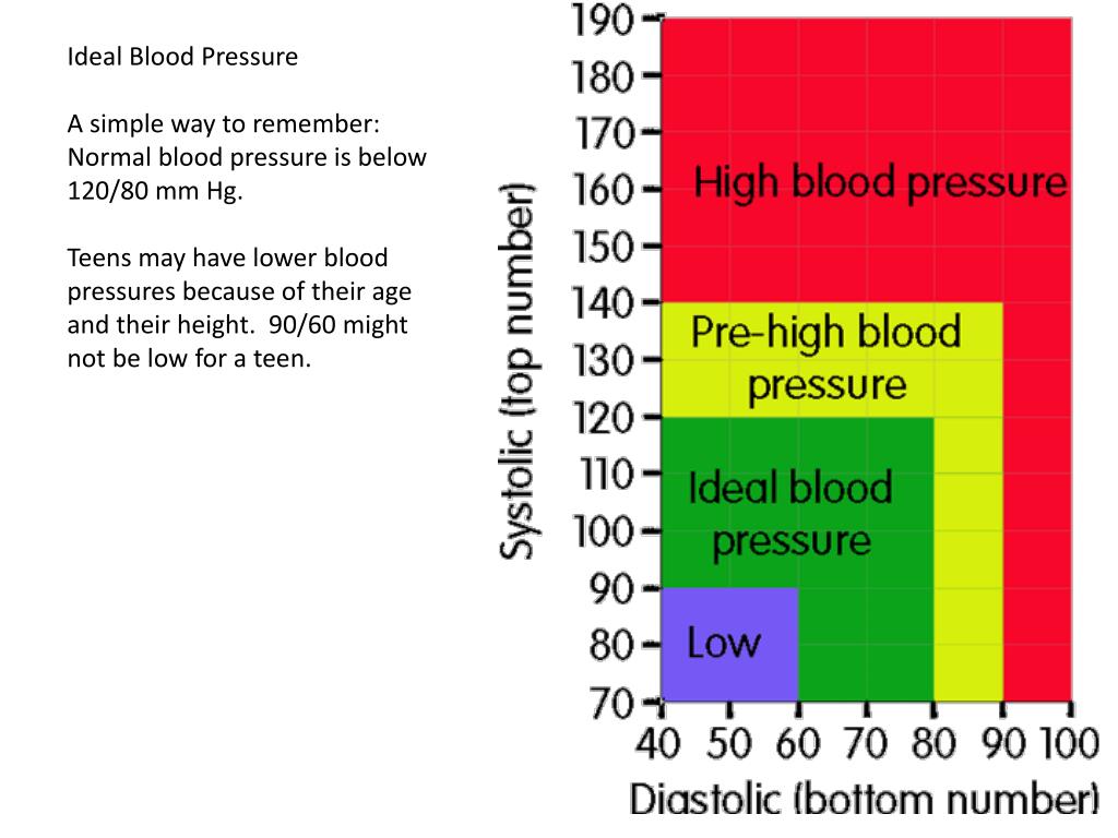 PPT BLOOD PRESSURE BASICS PowerPoint Presentation, free download ID6057423
