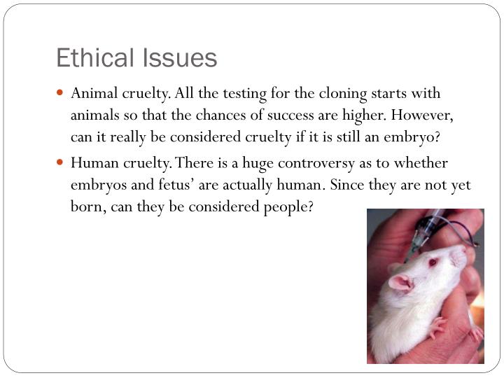 PPT The Social and Ethical Issues of Cloning PowerPoint Presentation ID6057726