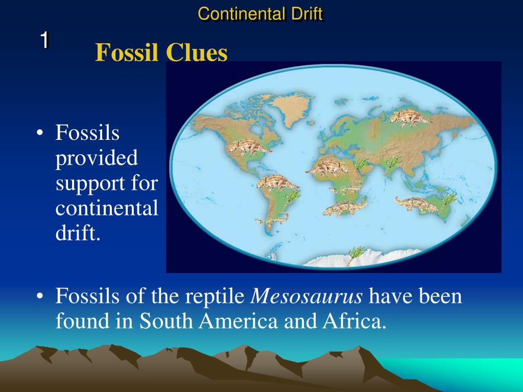 PPT Evidence for Continental Drift PowerPoint Presentation, free