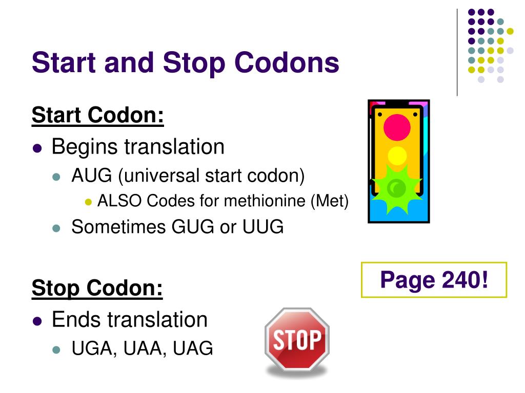 PPT Transcription & Translation PowerPoint Presentation, free