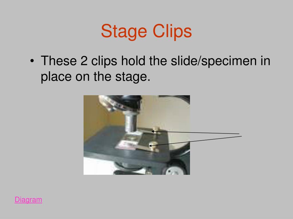 PPT Aim 8 The microscope, an instrument in scientific investigation