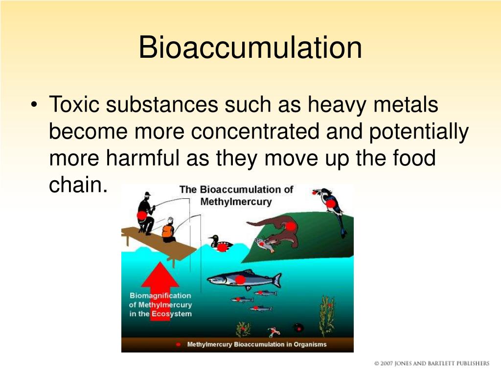 PPT Chapter 6 Toxic Metals and Elements PowerPoint Presentation, free