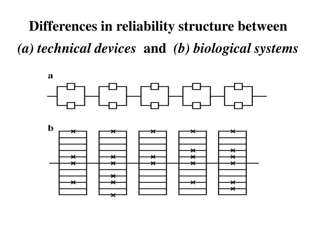 PPT The Quest for the General Theory of Aging and Longevity