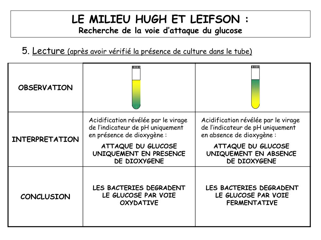 PPT LE MILIEU HUGH ET LEIFSON Recherche de la voie d’attaque du