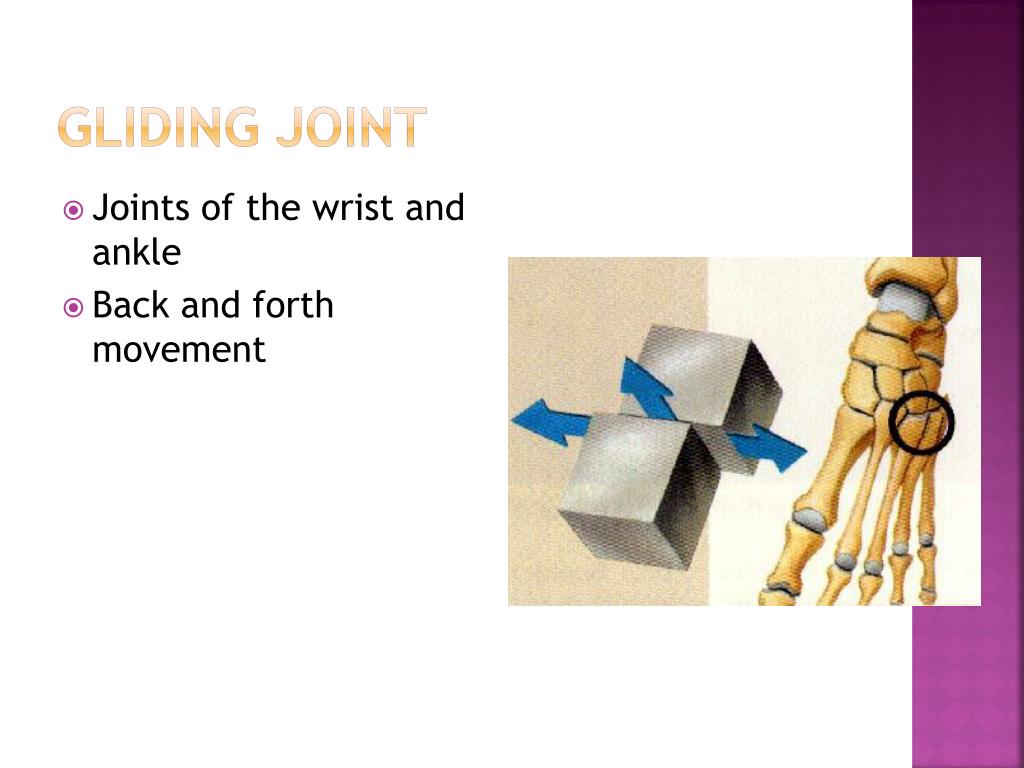 PPT Joints and Joint Movement PowerPoint Presentation, free download ID6078543