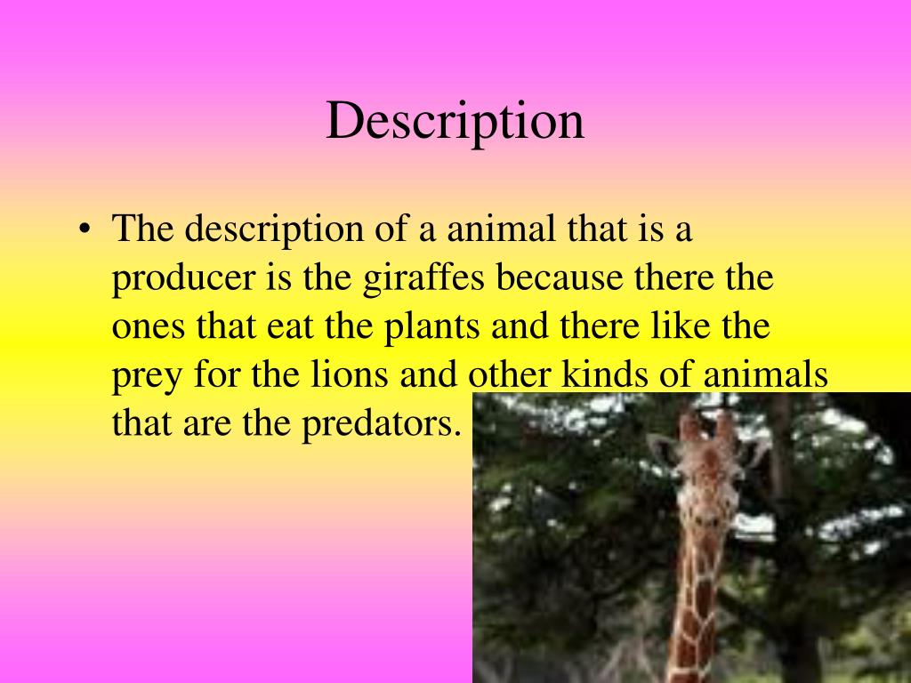 PPT Grassland Biomes PowerPoint Presentation, free download ID6079789