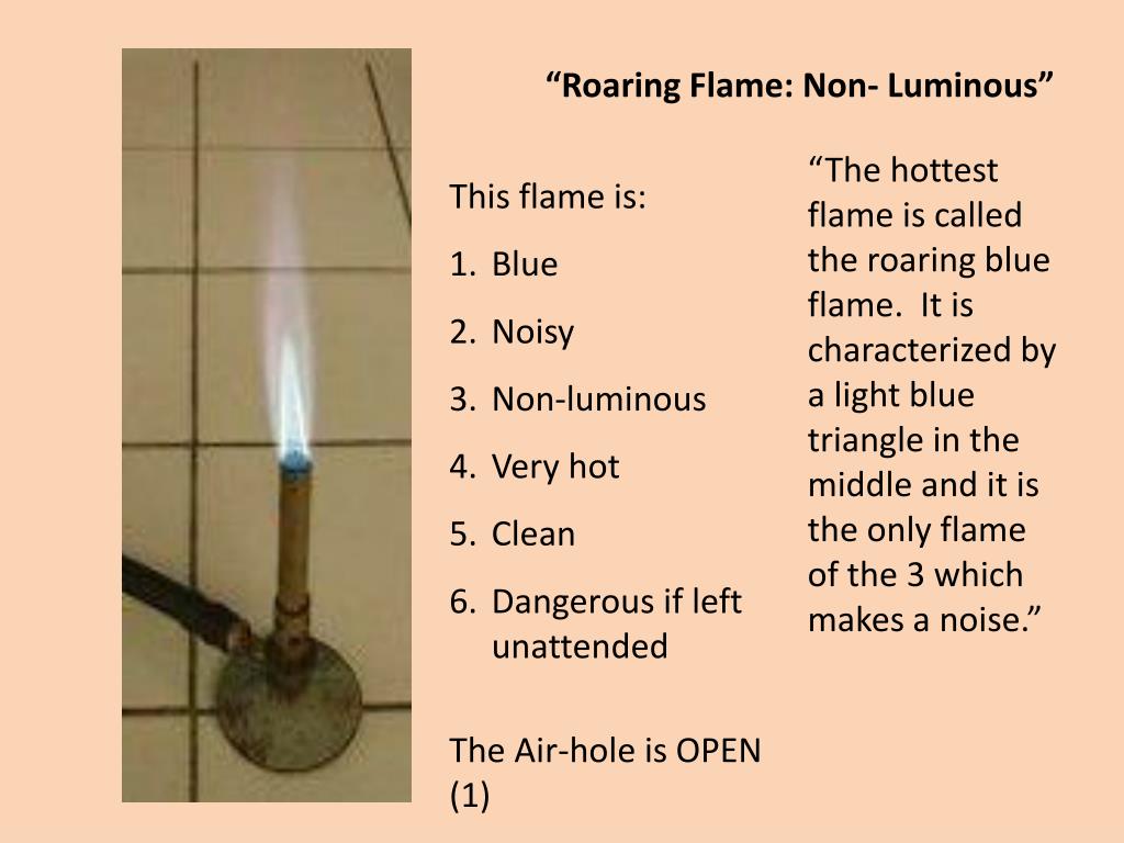 PPT Robert Bunsen PowerPoint Presentation, free download ID6082542