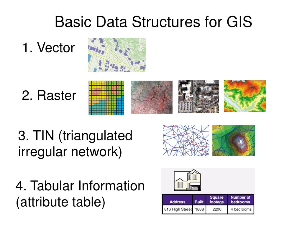 PPT GIS Data Structures PowerPoint Presentation, free download ID