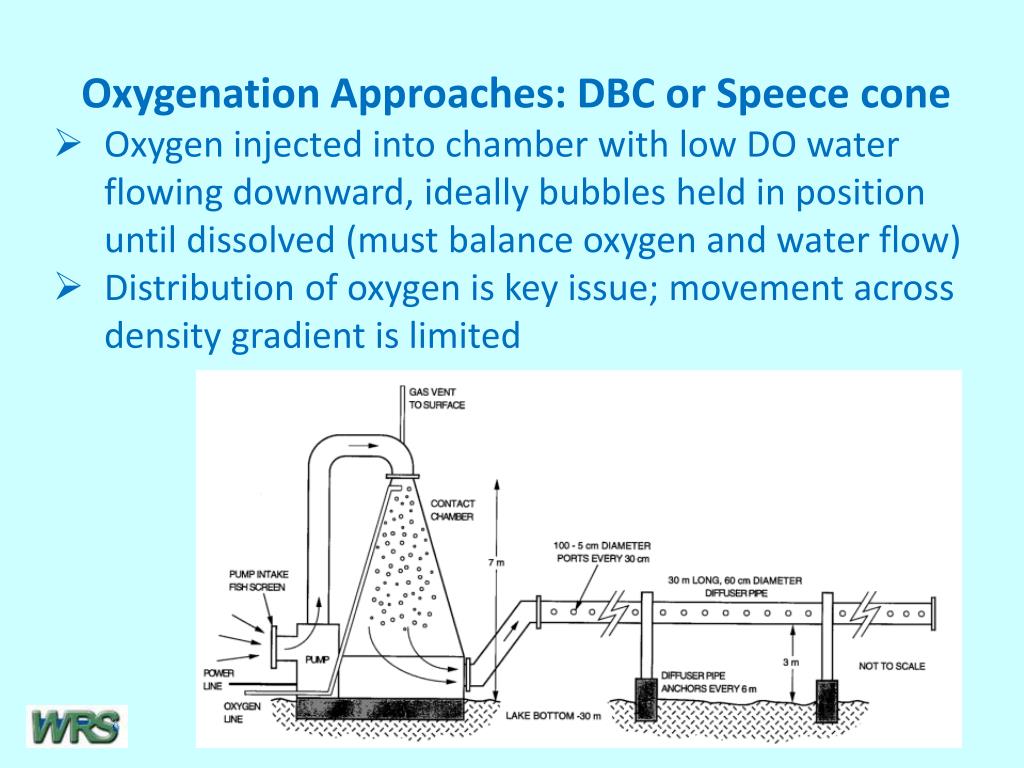 PPT For complete details, see OXYGENATION AND CIRCULATION TO AID