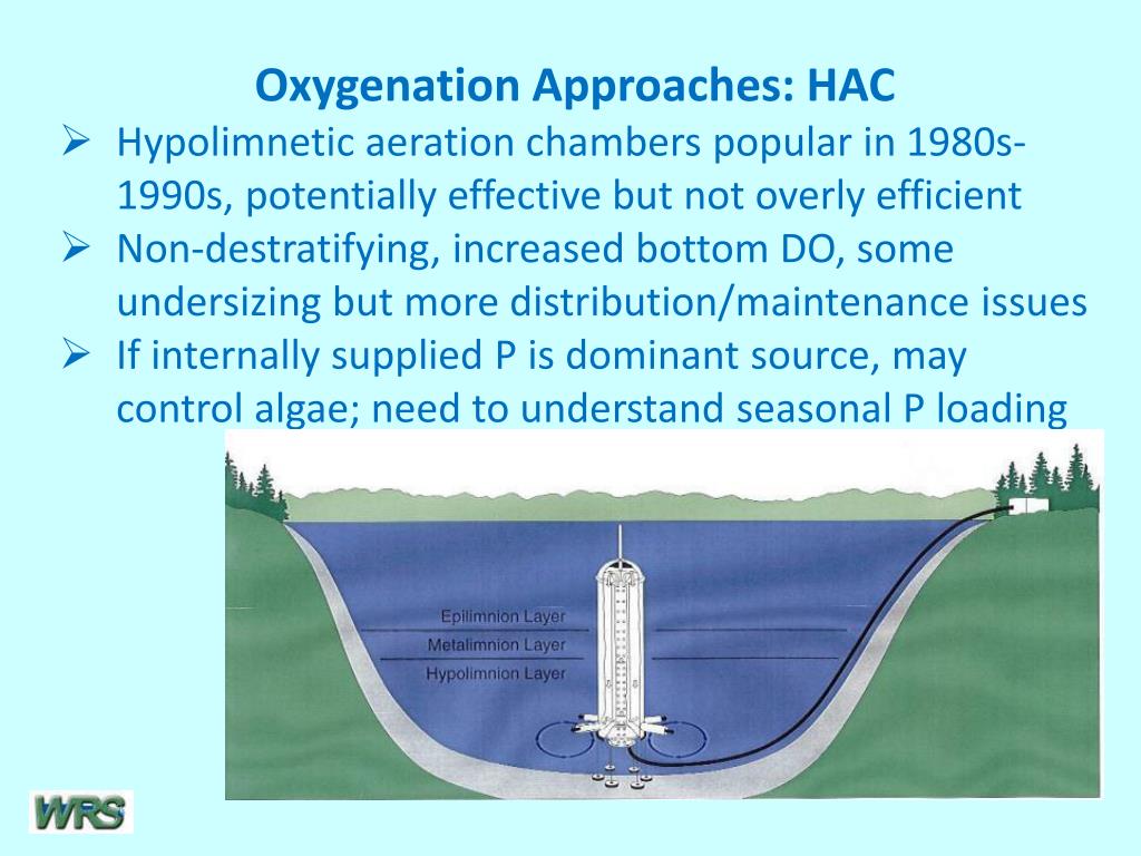 PPT For complete details, see OXYGENATION AND CIRCULATION TO AID
