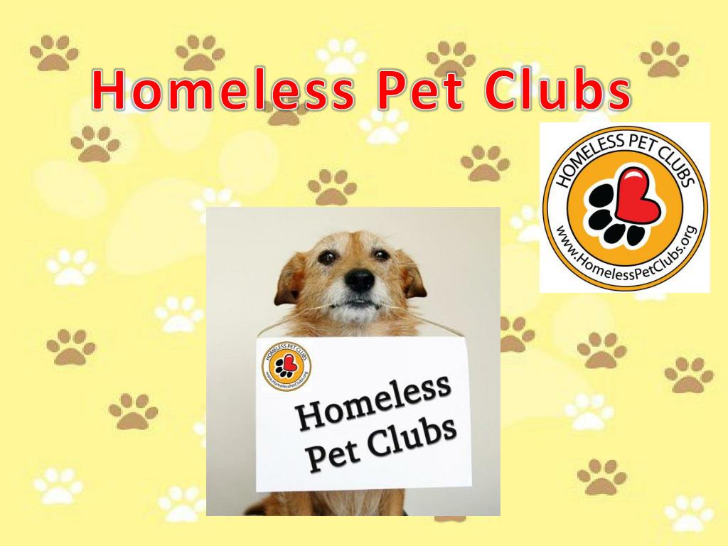 PPT Homeless Pet Clubs PowerPoint Presentation, free download ID