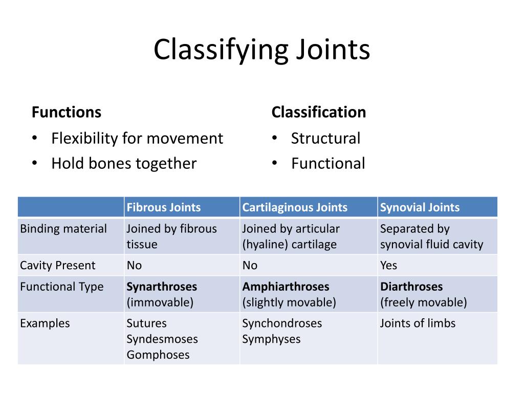PPT Joints PowerPoint Presentation, free download ID6086766