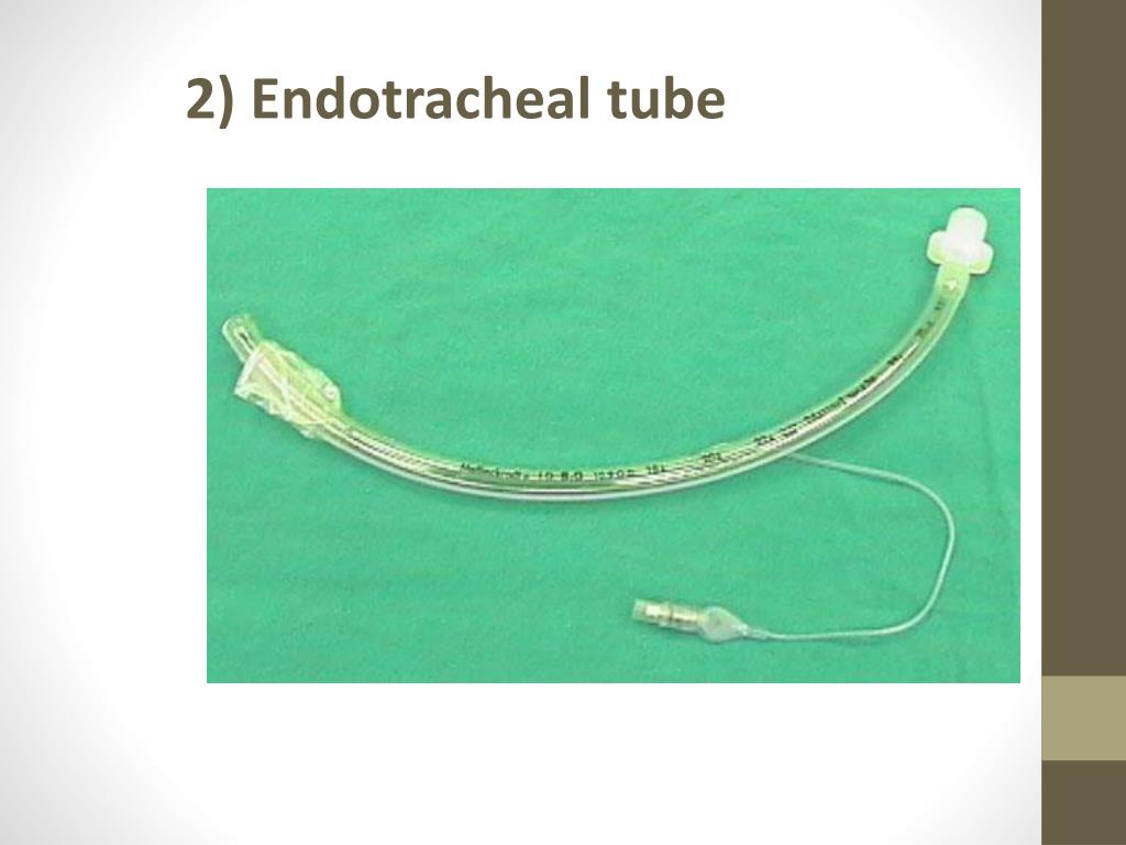 PPT Endotracheal Intubation PowerPoint Presentation, free download