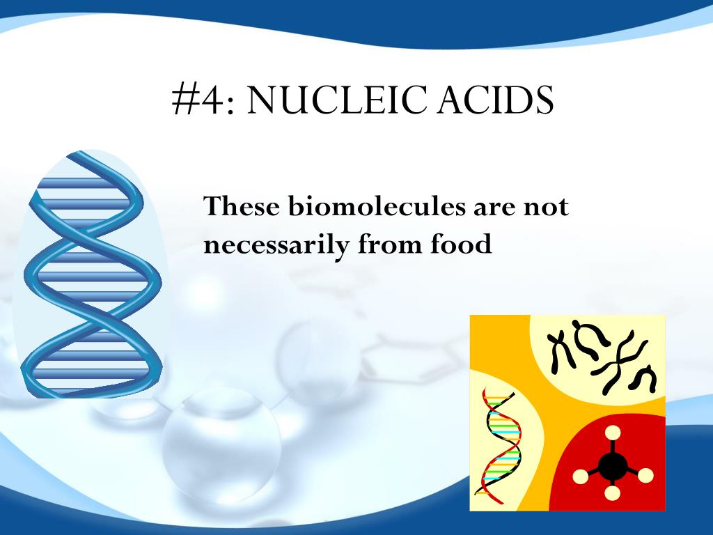 PPT BIOMOLECULES PowerPoint Presentation, free download ID6096358