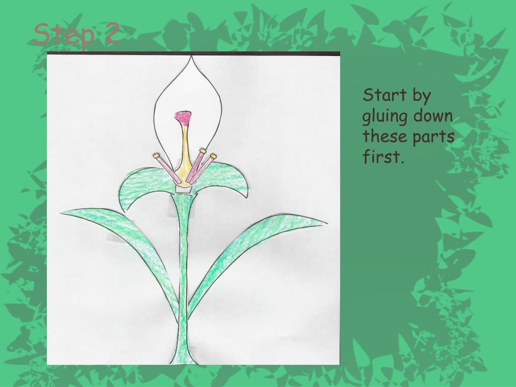 PPT Parts of a Flower PowerPoint Presentation, free download ID6097001