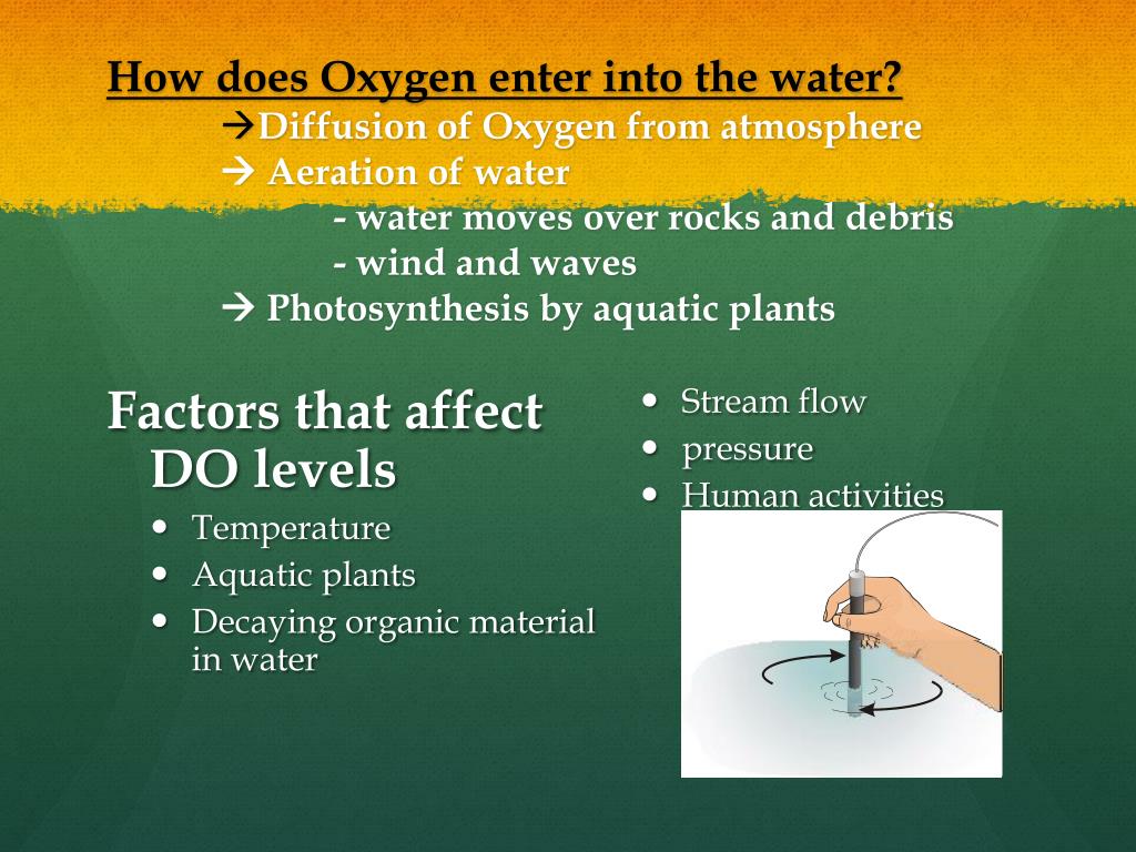 PPT Probes/kits used in testing the water quality PowerPoint