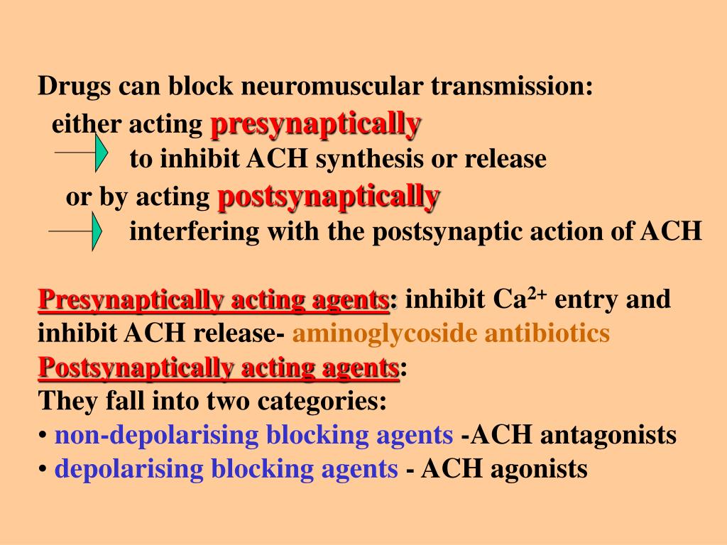 PPT Neuromuscularblocking drugs Martínková 2005 PowerPoint