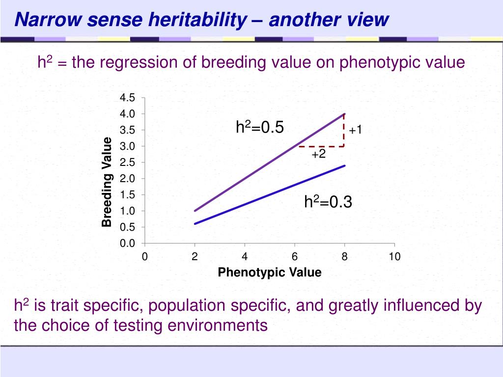 PPT PBG 650 Advanced Plant Breeding PowerPoint