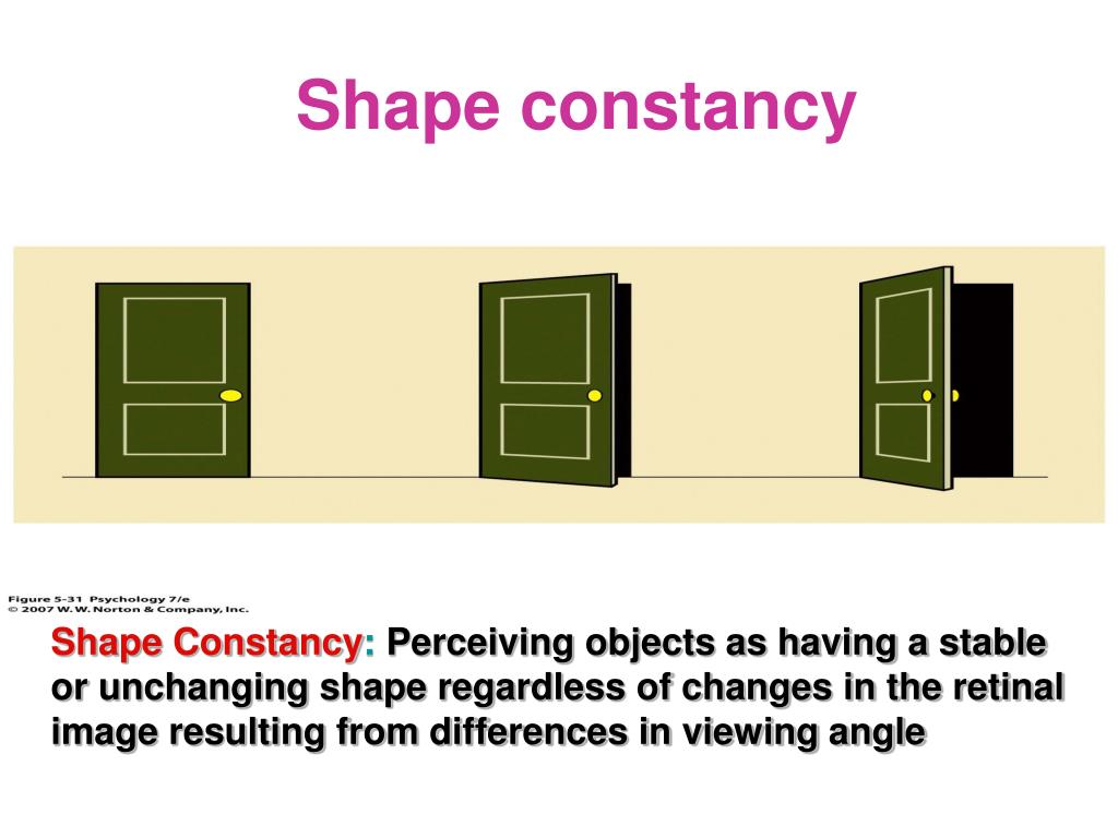 PPT INTRODUCTION TO PSYCHOLOGY PowerPoint Presentation, free download