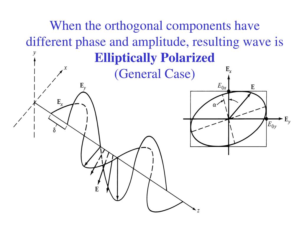 PPT Light Waves and Polarization PowerPoint Presentation