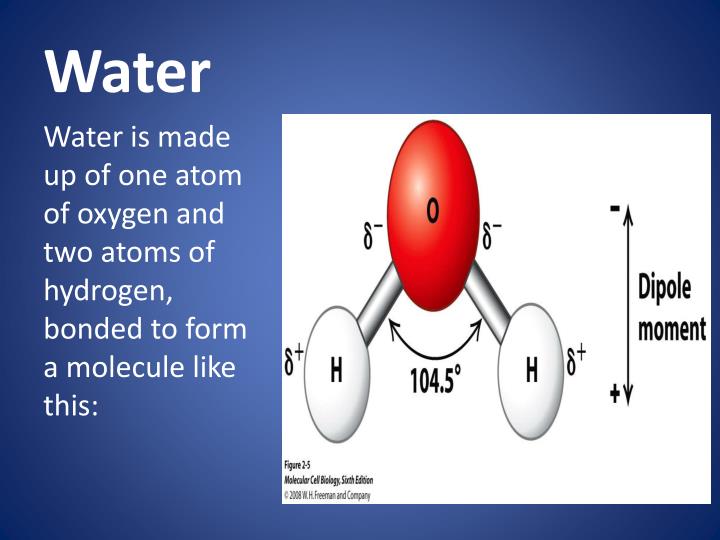 PPT Ch. 2 Chemistry of Life PowerPoint Presentation ID6104245