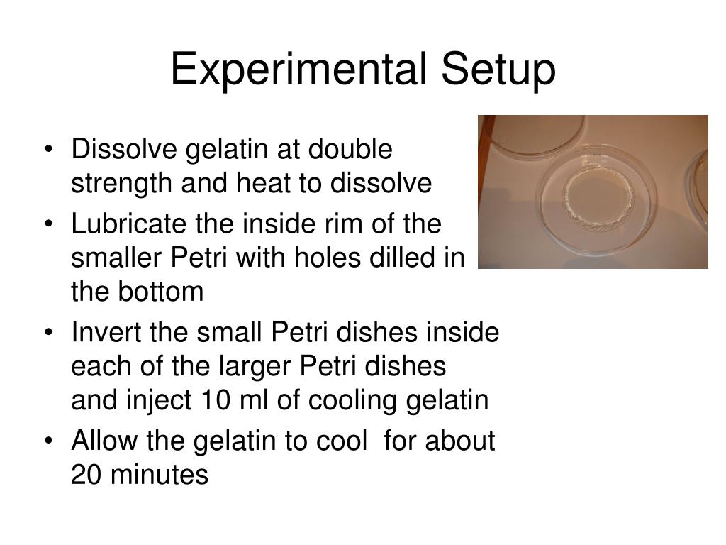 PPT Gelatin Diffusion Experiment PowerPoint Presentation, free