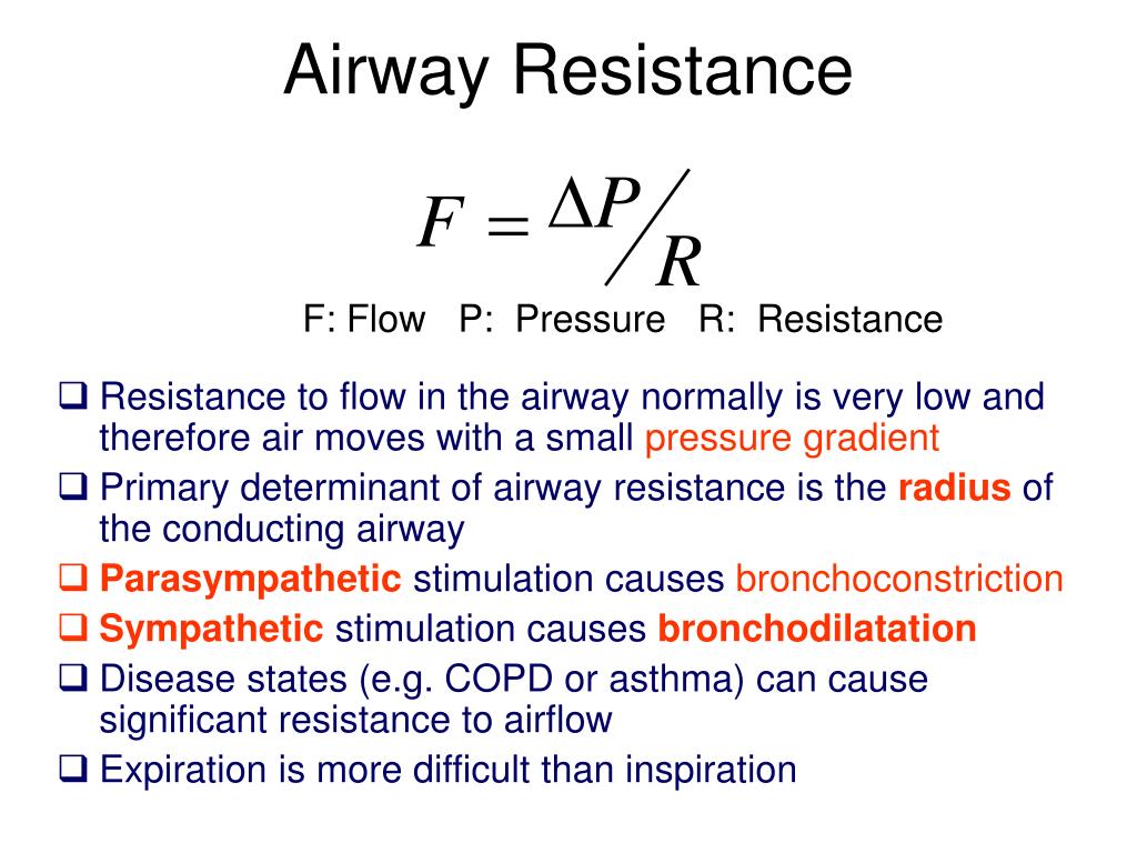 PPT Overview of Respiration and Respiratory Mechanics PowerPoint