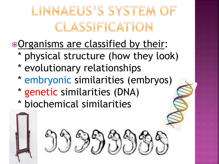 PPT Taxonomy PowerPoint Presentation ID6106962