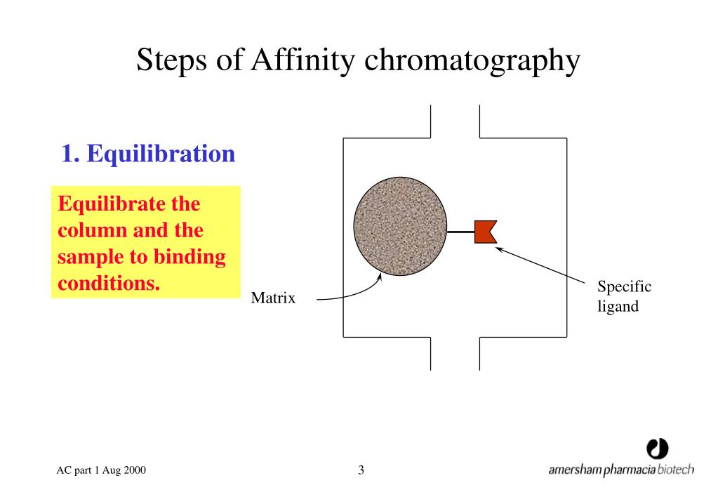 PPT Affinity Chromatography PowerPoint Presentation, free download