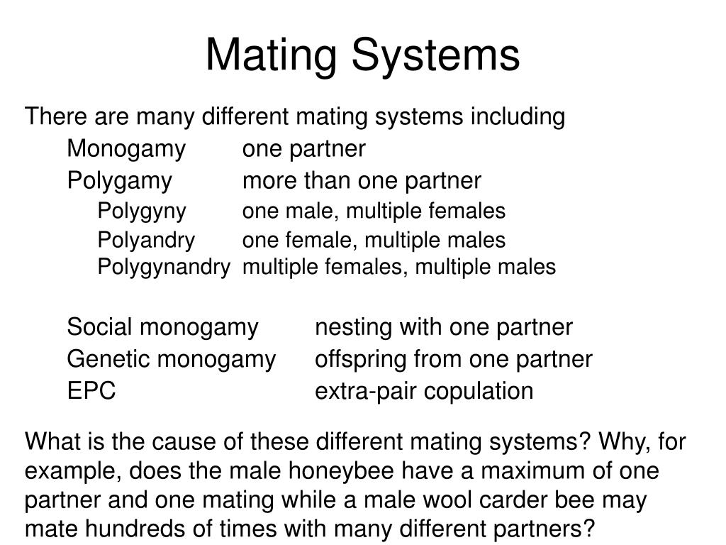 PPT The Evolution of Mating Systems Chapter 11 Alcock (Animal
