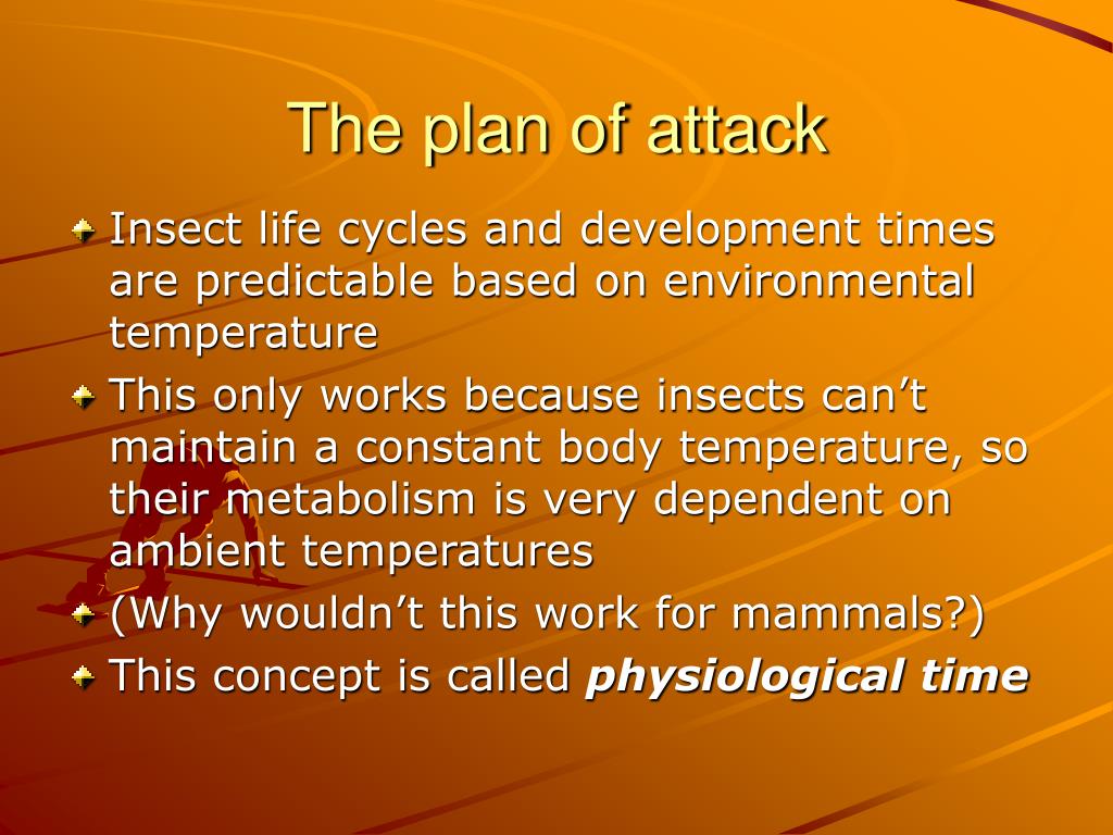 PPT Determining PMI with Forensic Entomology PowerPoint Presentation