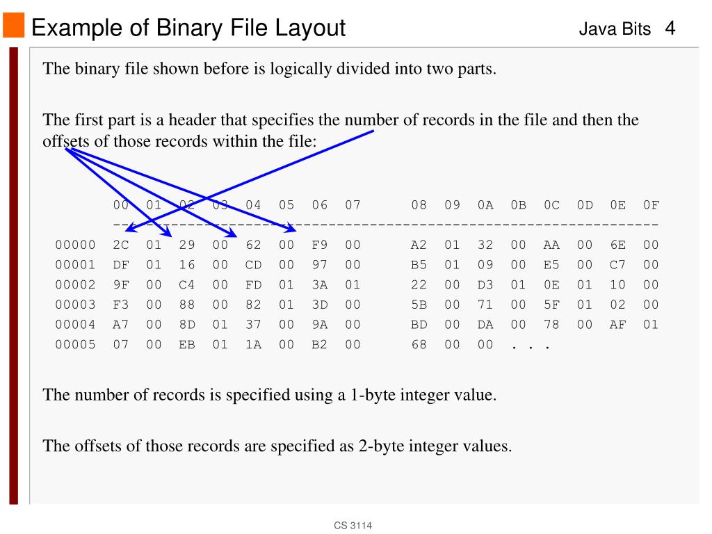 PPT Data versus Information PowerPoint Presentation, free download