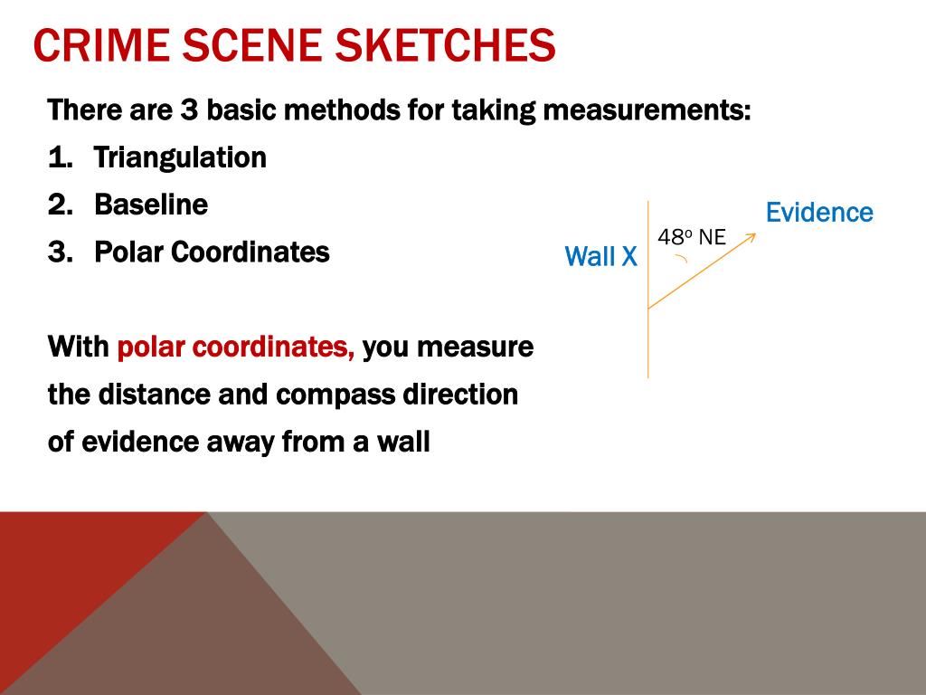 PPT Crime Scene Documentation PowerPoint Presentation, free download