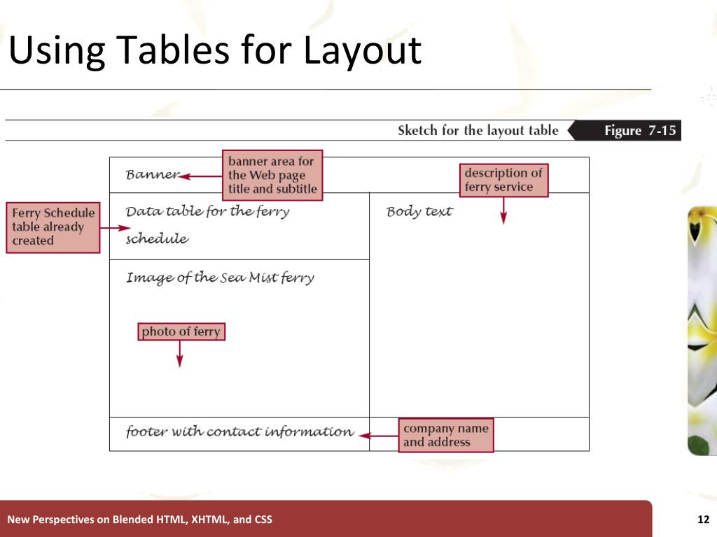 PPT Tutorial 7 Creating Tables PowerPoint Presentation, free download ID6115560