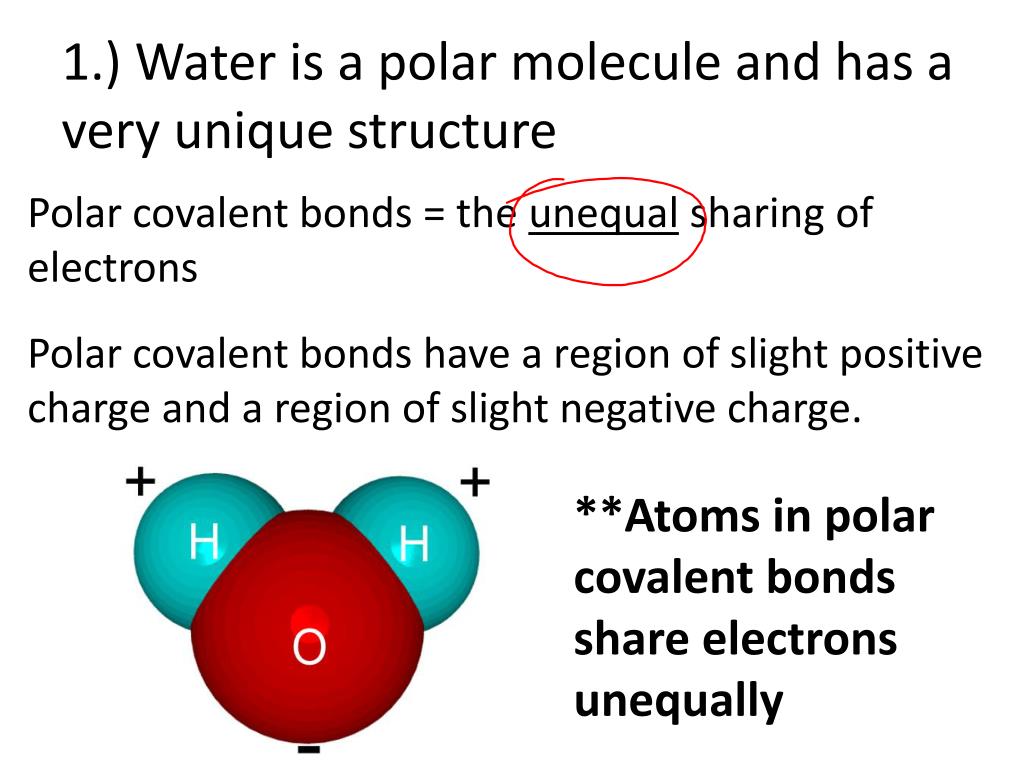 PPT Properties of Water PowerPoint Presentation ID6115807