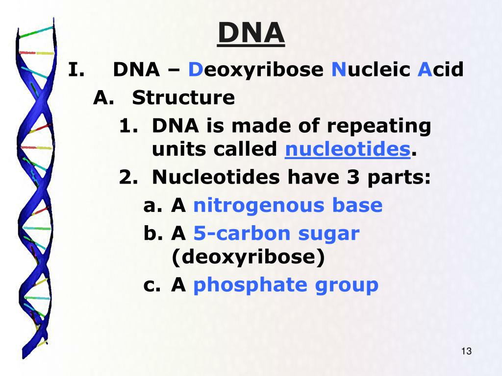 PPT DNA Chapter 12 PowerPoint Presentation, free download ID6116146