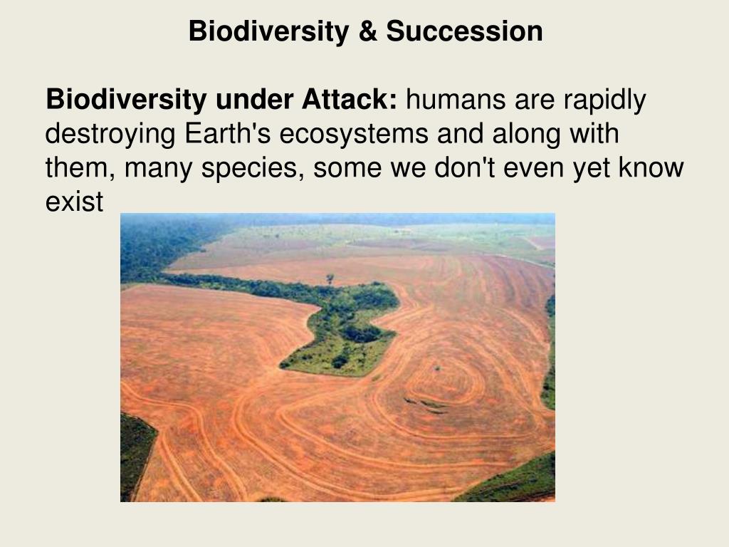 PPT Biodiversity & Succession Biodiversity the variety of life in a