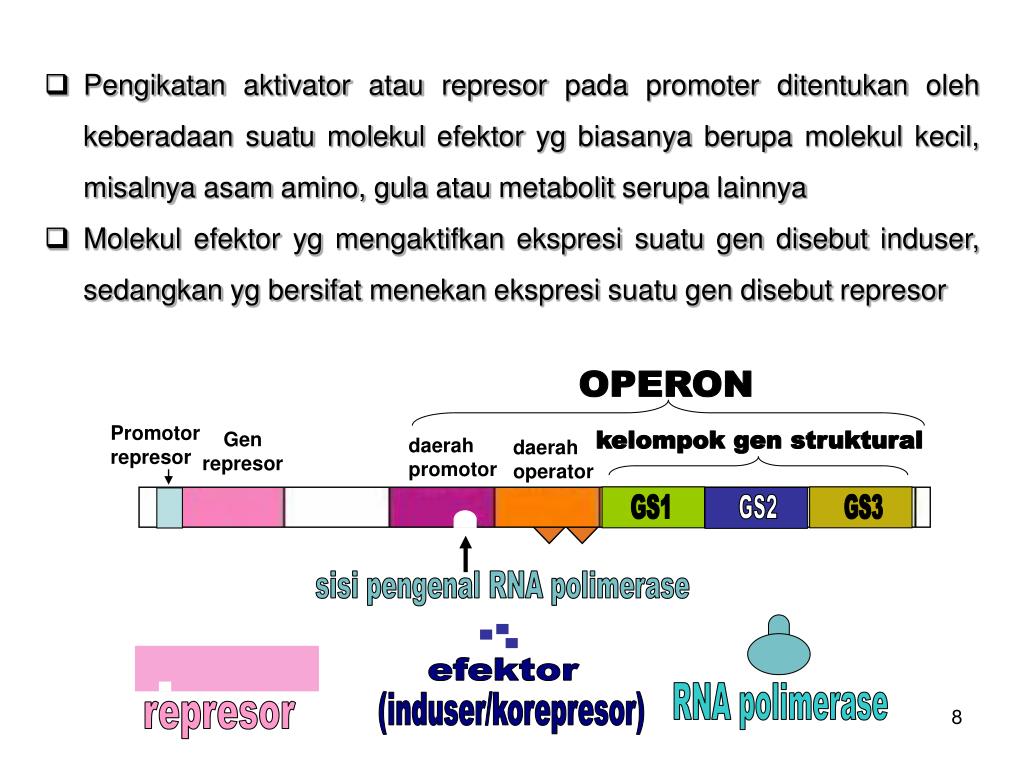 PPT EKSPRESI GEN PowerPoint Presentation, free download ID6122533