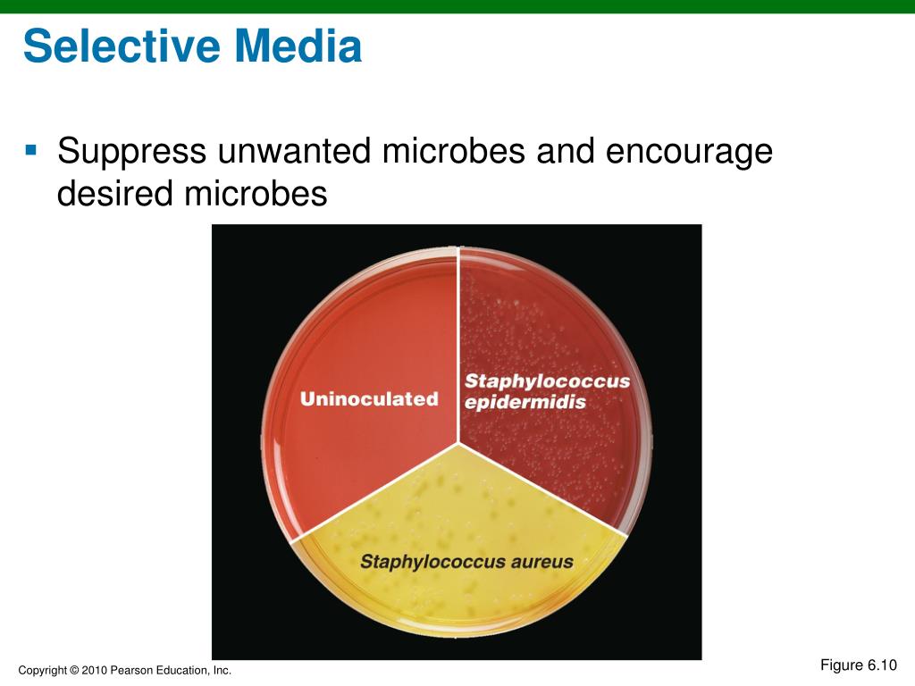 PPT Chapter 6 PowerPoint Presentation, free download ID6124530