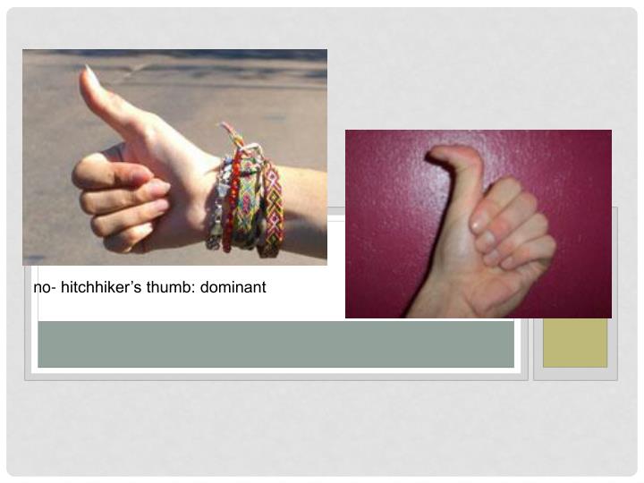 PPT PowerPoint Presentation ID6127283