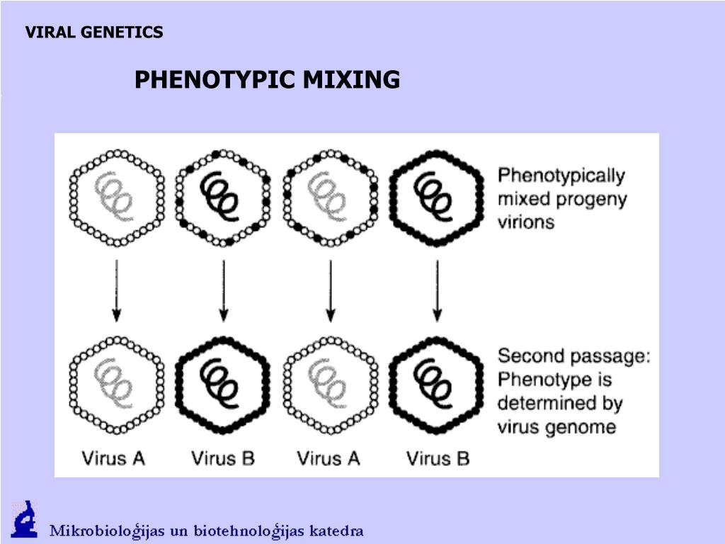 PPT VIR OLOGY ( viruses and nonchromosomal elements