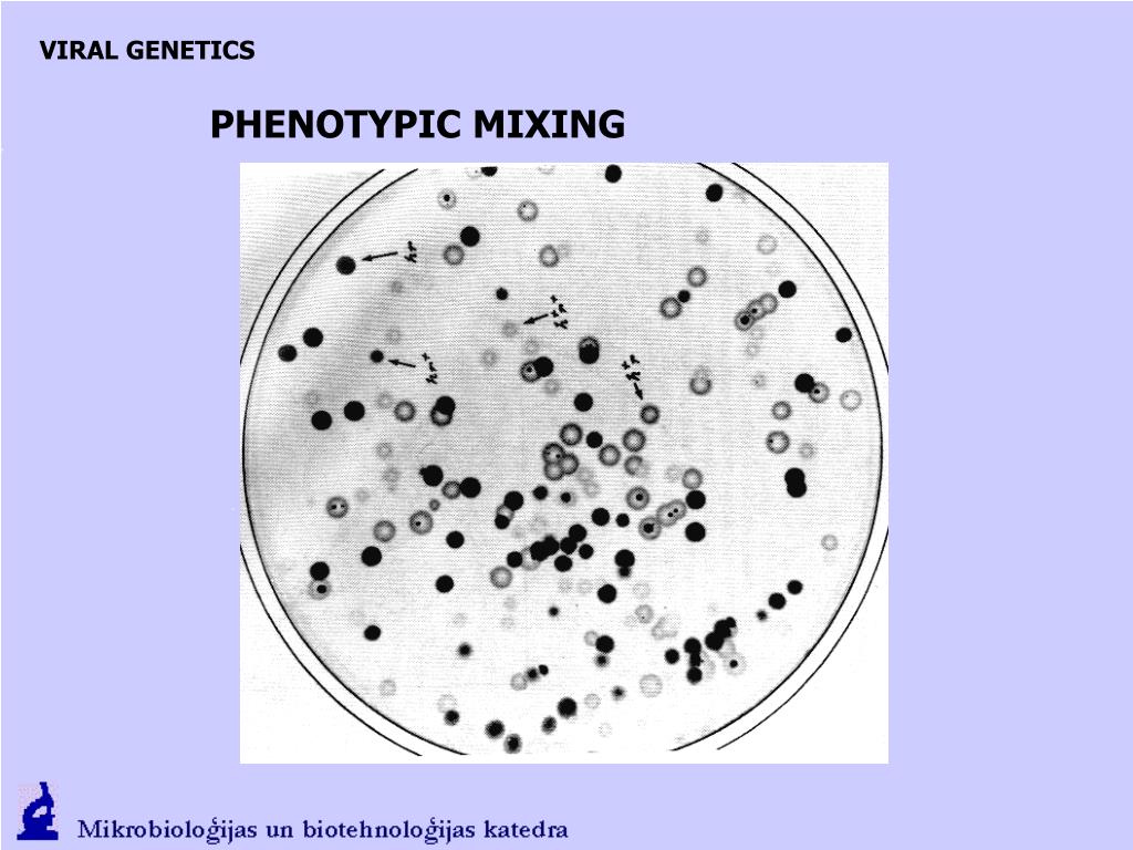 PPT VIR OLOGY ( viruses and nonchromosomal elements