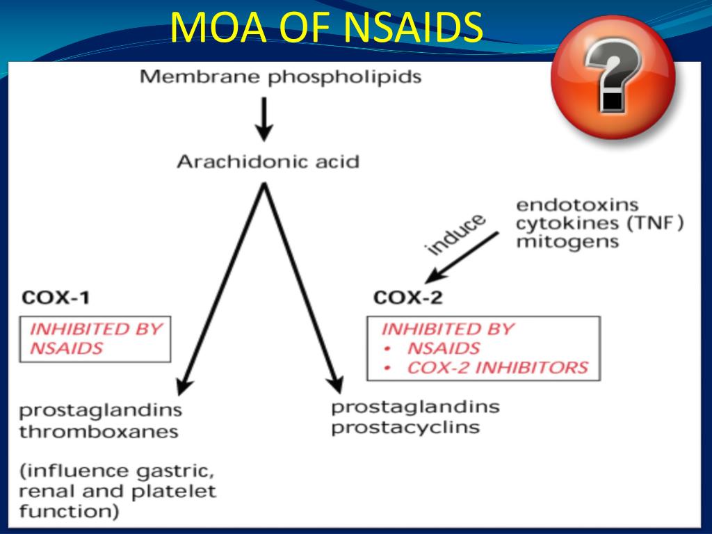 PPT Non Steroidal Antiinflammatory Drugs (NSADs) PowerPoint