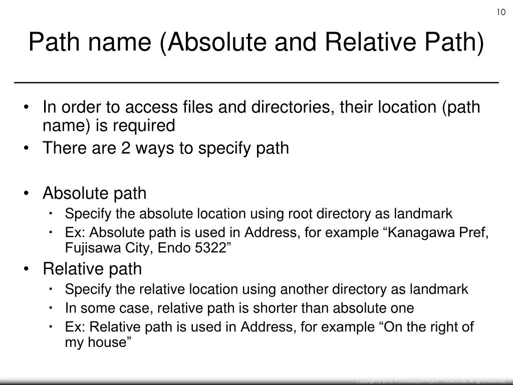 PPT File and Directory PowerPoint Presentation, free download ID